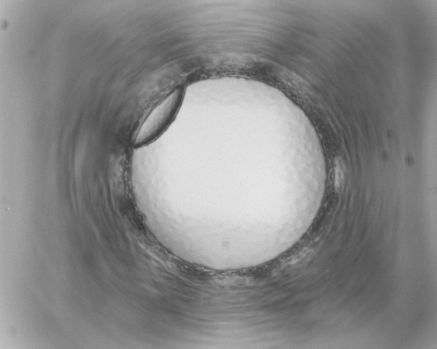 X0000059061059200511041723