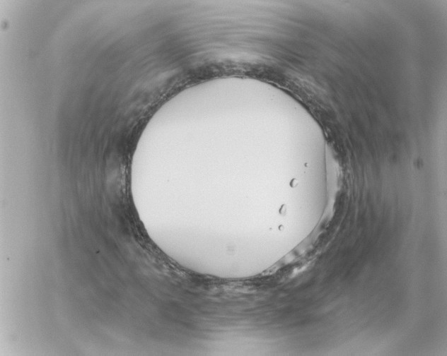 X0000059061061200511041723