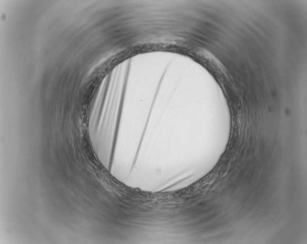 X0000059061064200511041722