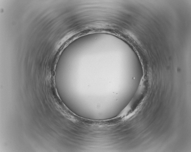 X0000059061065200511041722