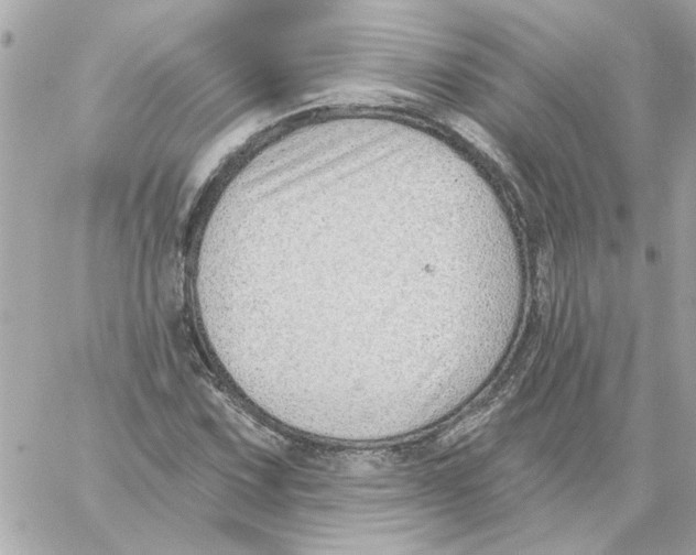 X0000059061067200511041722