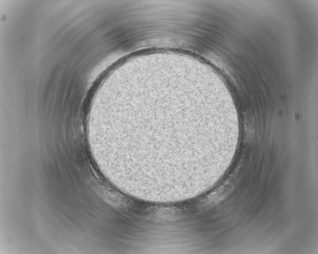 X0000059061070200511041722