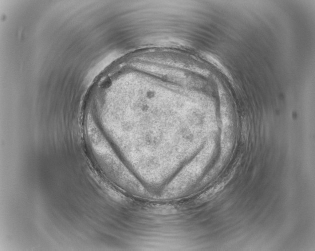 X0000059061071200511041722