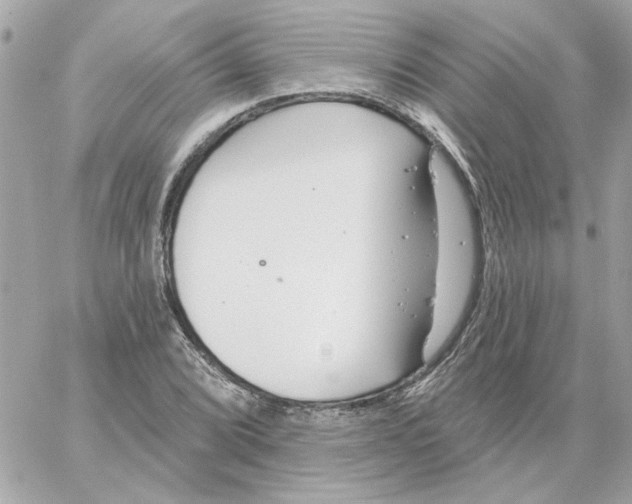 X0000059061072200511041722