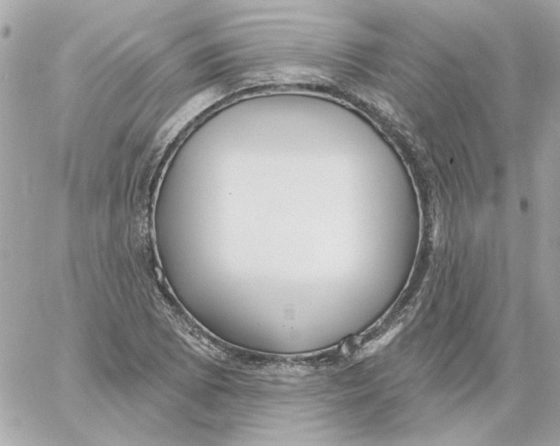 X0000059061073200511041722