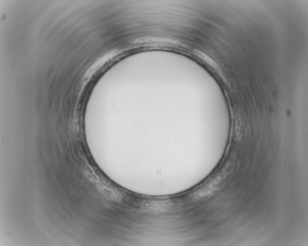 X0000059061074200511041722