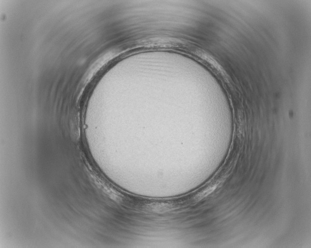 X0000059061075200511041722