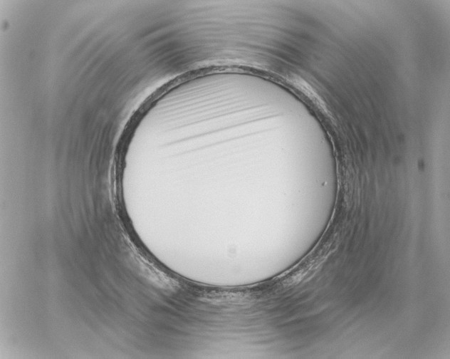 X0000059061076200511041722