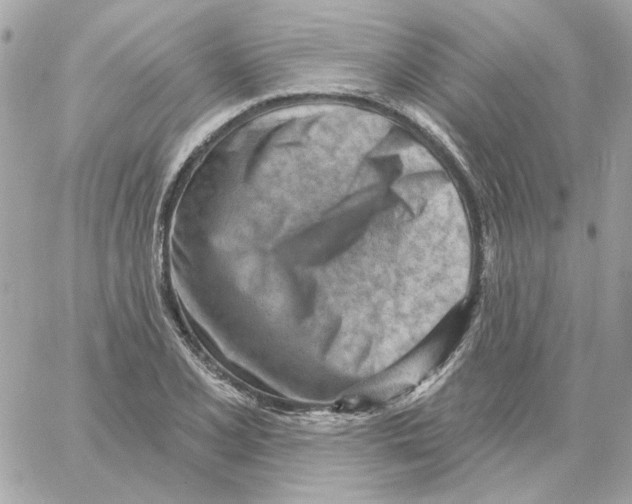 X0000059061077200511041722