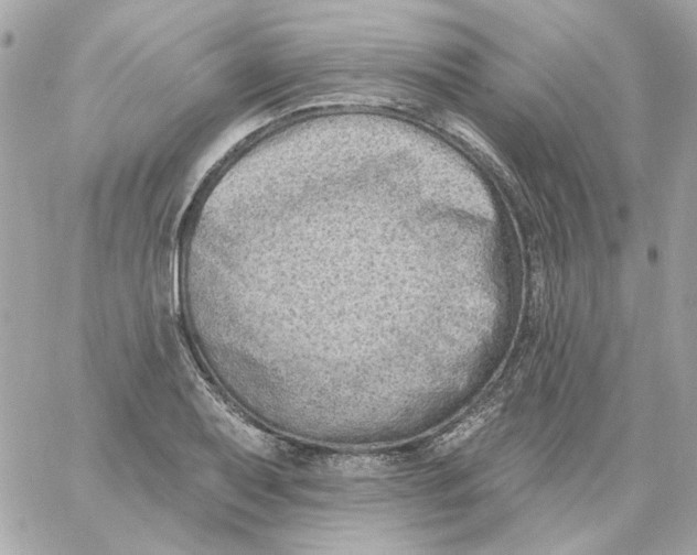 X0000059061079200511041722