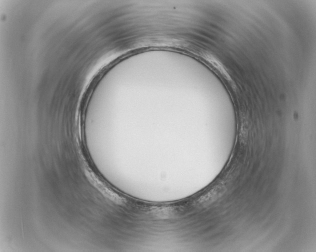 X0000059061080200511041722