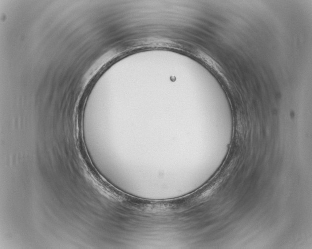 X0000059061082200511041722