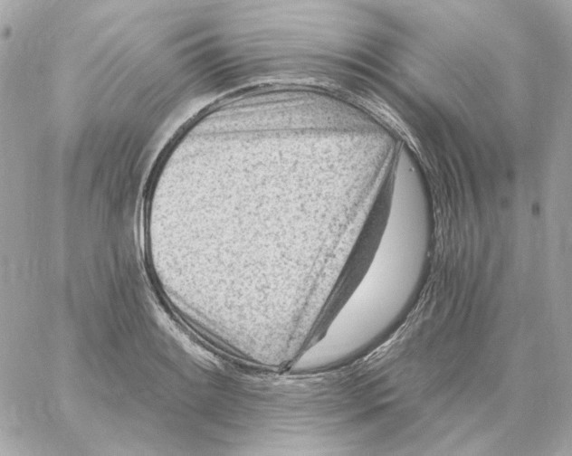 X0000059061084200511041722