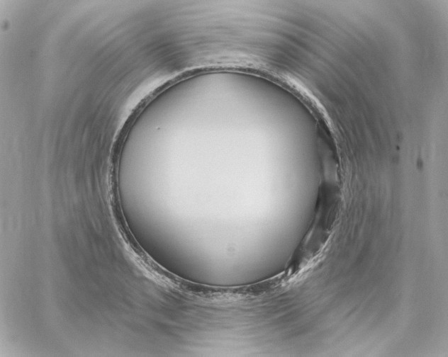 X0000059061085200511041722