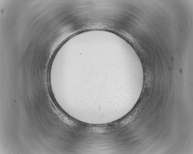 X0000059061086200511041722