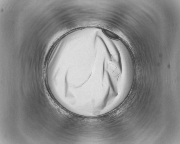 X0000059061088200511041722