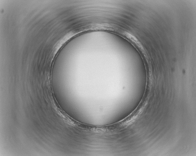 X0000059061089200511041722