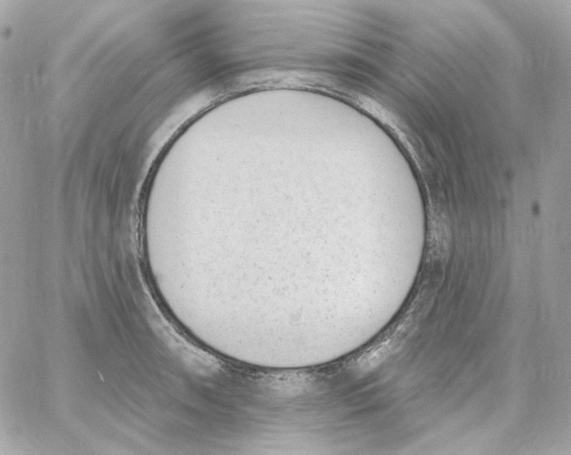 X0000059061090200511041722