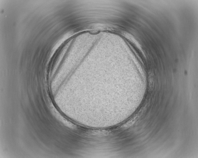 X0000059061091200511041722