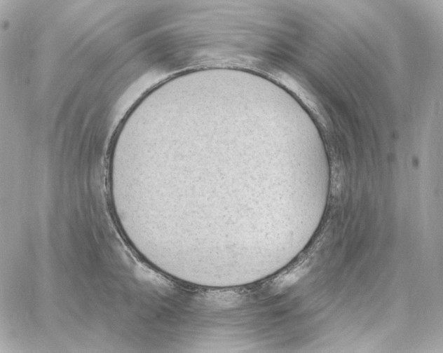 X0000059061094200511041722