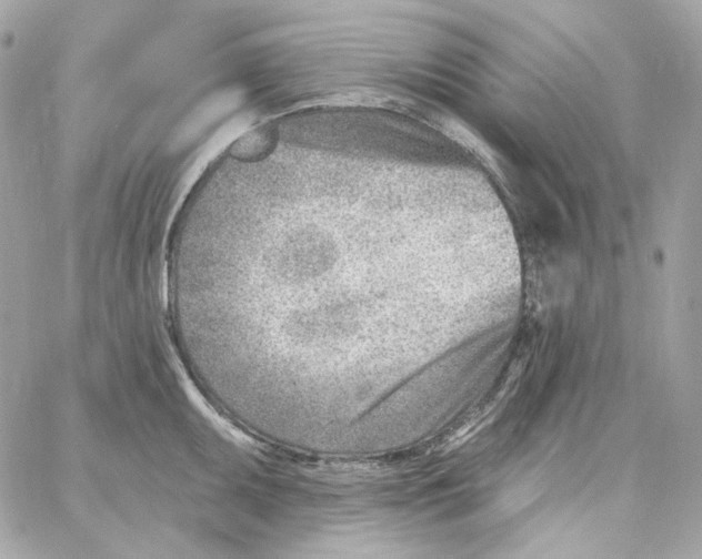 X0000059061095200511041722