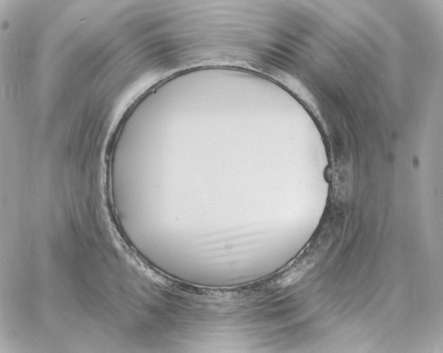 X0000059061096200511041722