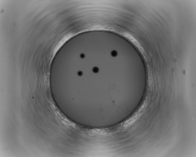 X0000059061097200511041722