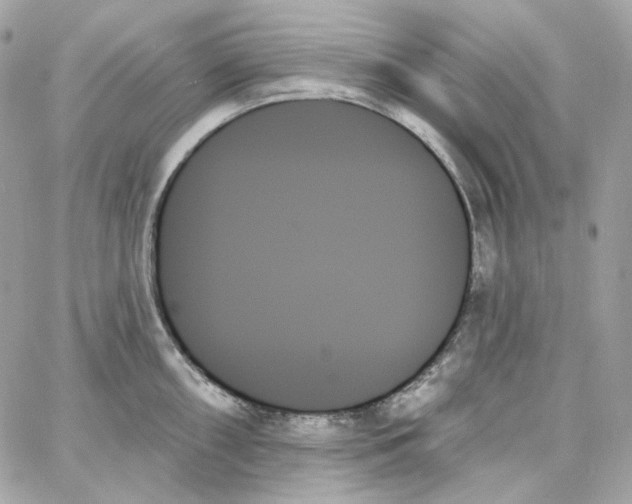 X0000059061098200511041722