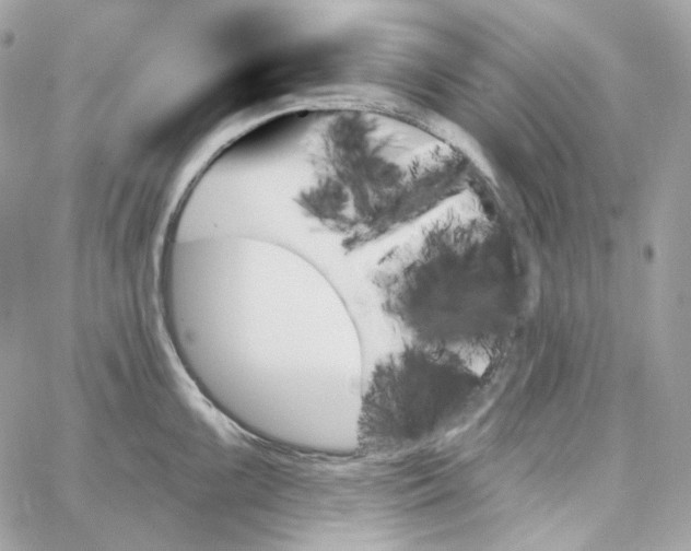 X0000059061099200511041722