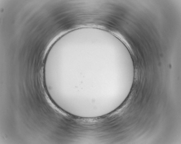 X0000059061100200511041722