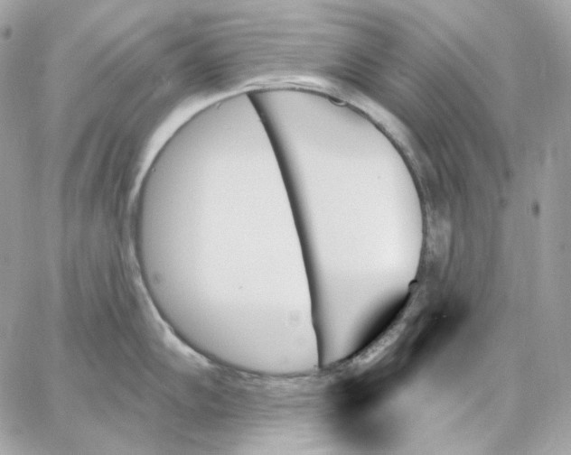 X0000059061102200511041722