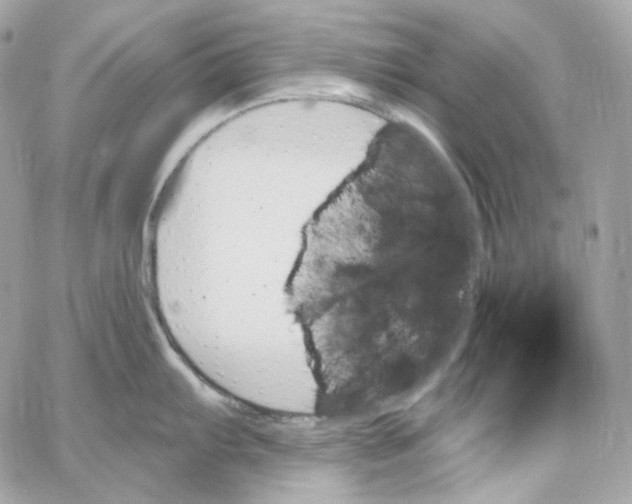 X0000059061103200511041722