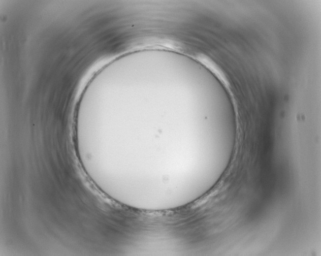 X0000059061104200511041722