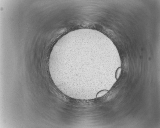 X0000059061105200511041721