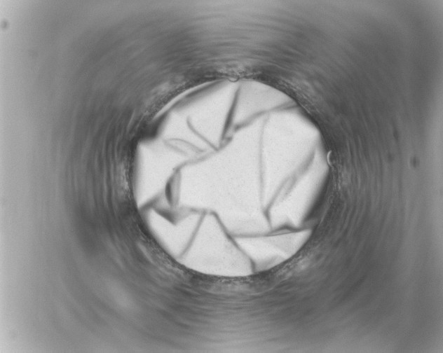 X0000059061106200511041721