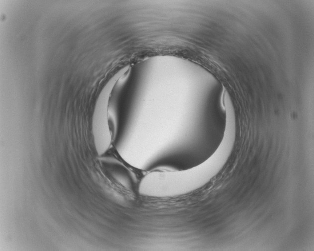 X0000059061108200511041721