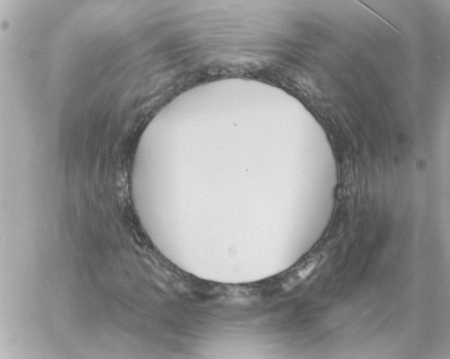 X0000059061109200511041721