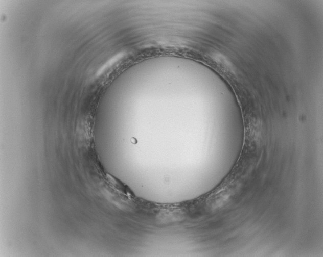 X0000059061110200511041721