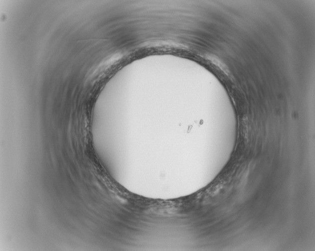 X0000059061111200511041721