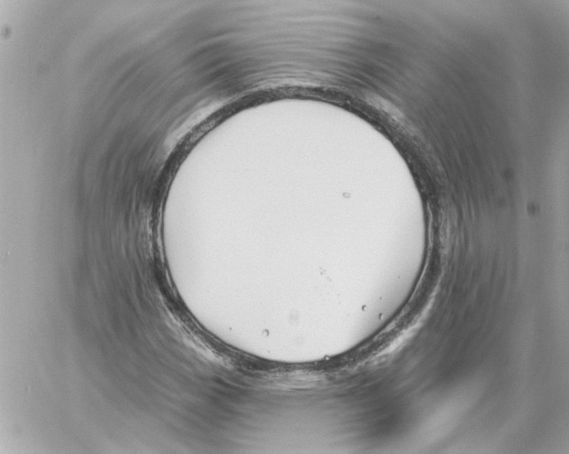 X0000059061113200511041721