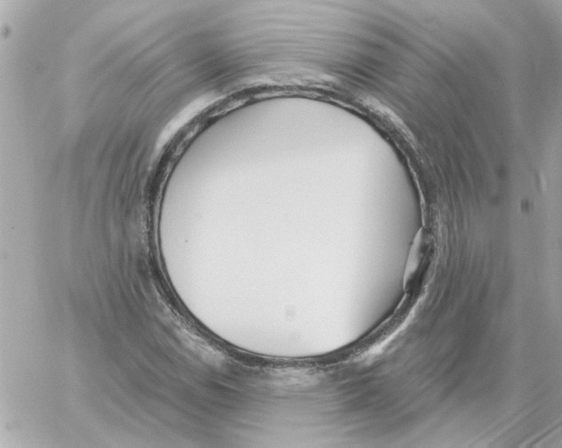 X0000059061114200511041721