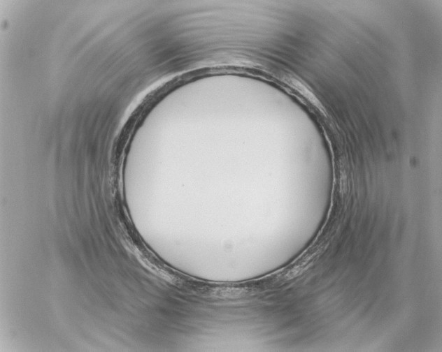 X0000059061116200511041721