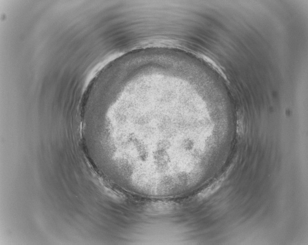 X0000059061117200511041721