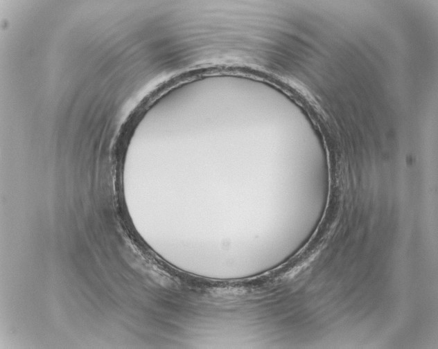 X0000059061118200511041721