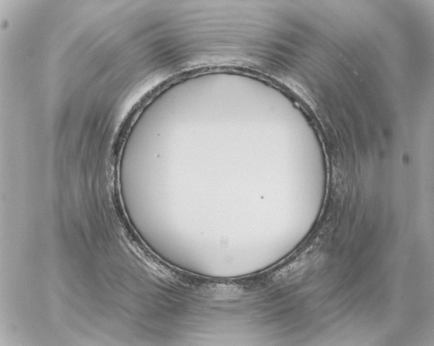 X0000059061119200511041721