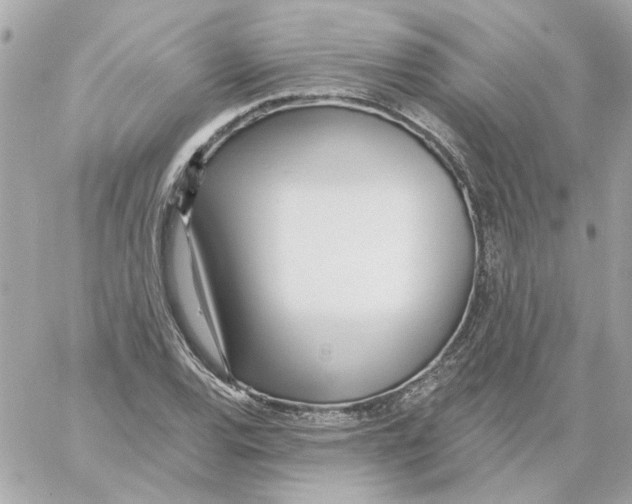 X0000059061120200511041721