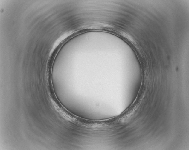 X0000059061122200511041721