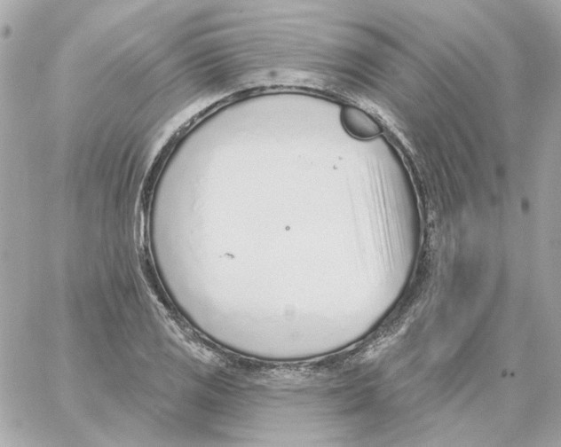 X0000059061125200511041721