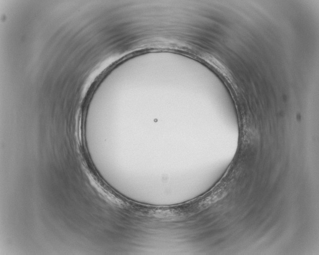 X0000059061128200511041721