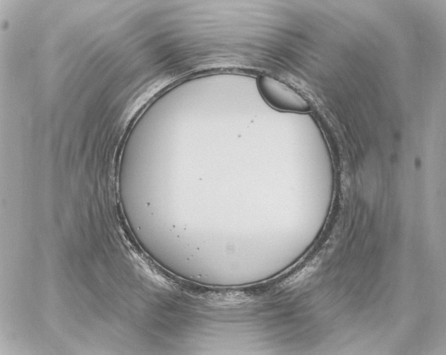 X0000059061129200511041721